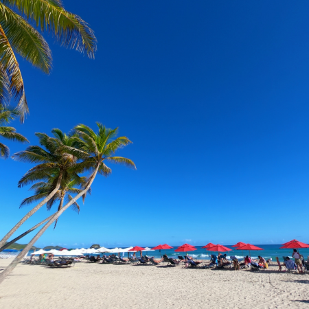 Margarita Viajes Humboldt Agencia de turismo Venezuela España Miami